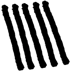 Nunc congue dui nec...