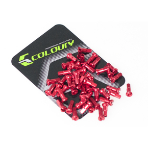 Nunc congue dui nec...