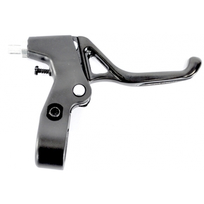 Nunc congue dui nec...