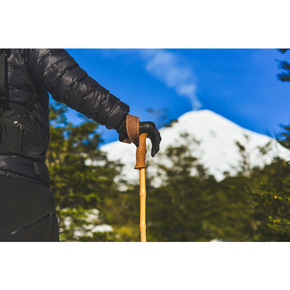 Nunc congue dui nec...