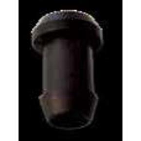 Nunc congue dui nec...